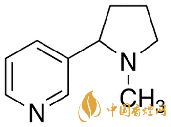 尼古丁的危害 尼古丁的危害有哪些