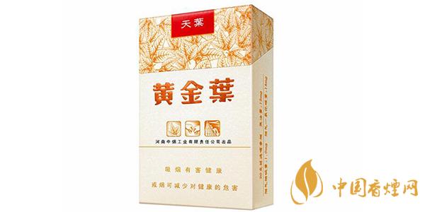 2021黃金葉天葉價(jià)格和圖片一覽 黃金葉天葉味道品析