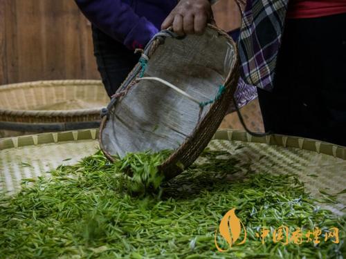 黃花云尖茶葉禮盒價格 黃花云尖多少錢一斤