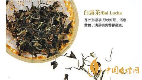 白露茶屬于什么茶類 白露茶的功效與副作用介紹