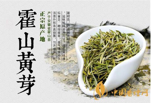 霍山黃芽屬于什么茶-霍山黃芽茶葉價(jià)格2021