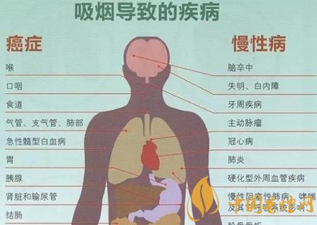 香煙煙霧對肺的傷害 首先從肺細(xì)胞開始！